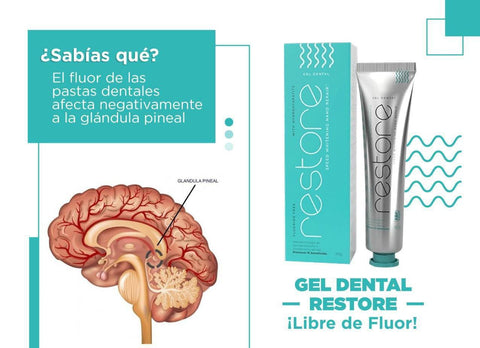 Image of RESTORE GEL DENTAL - Blanqueador con Nanotecnología